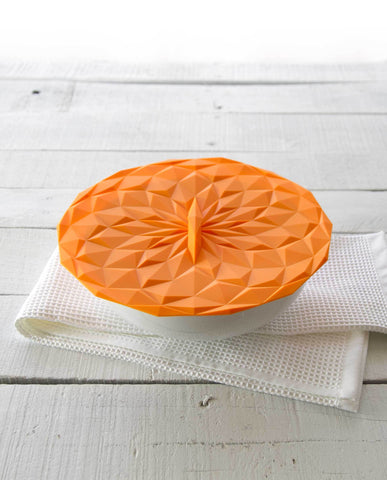 Round Lid 10 inch