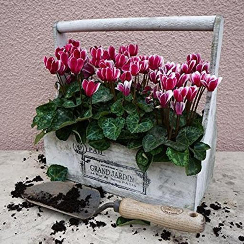Forged Hand Trowel
