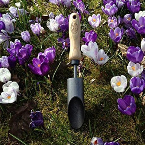 Bulb and Crocus Planter
