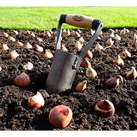 Bulb Planter with Short Handle