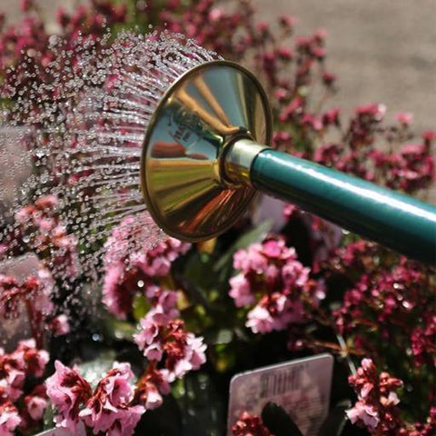 Traditional Watering Can