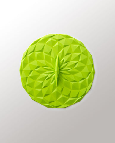 Round Lid 10 inch