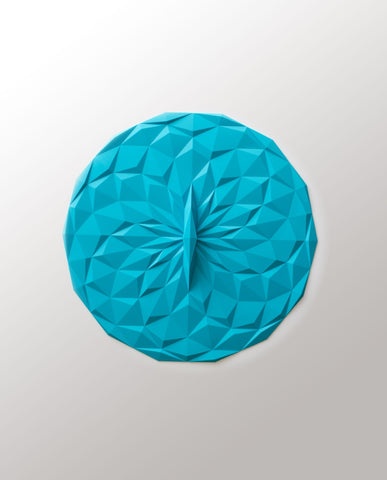 Round Lid 10 inch