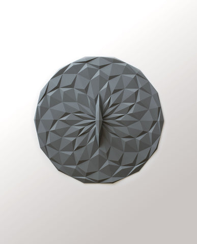 Round Lid 10 inch