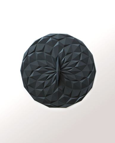 Round Lid 10 inch