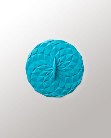 Round Lid 8 inch