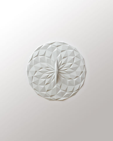 Round Lid 8 inch