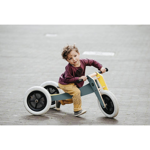 3-in-1 Bike