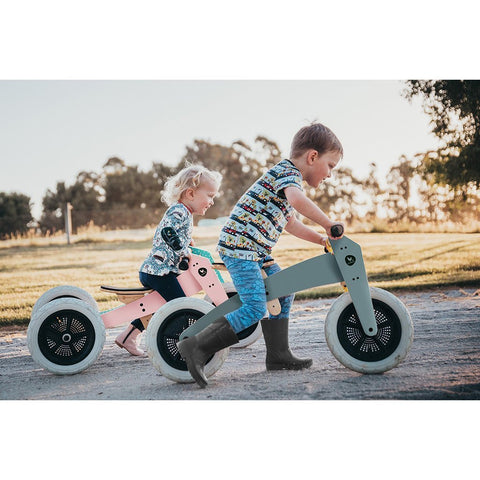 3-in-1 Bike