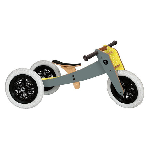 3-in-1 Bike