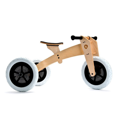 3-in-1 Bike