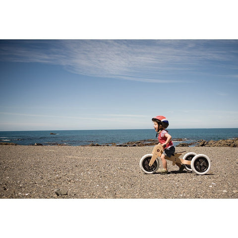 3-in-1 Bike