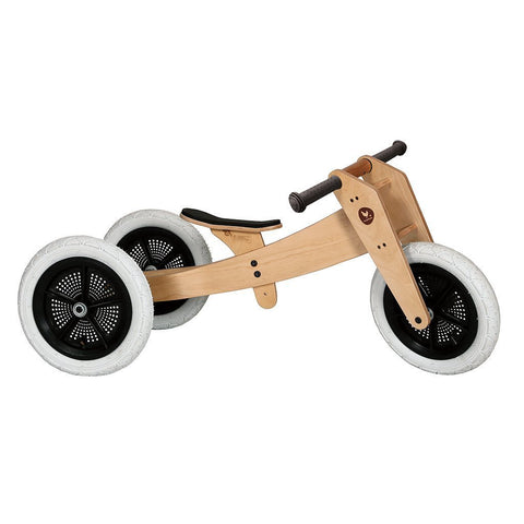 3-in-1 Bike