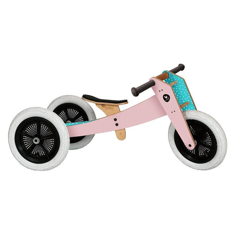 3-in-1 Bike