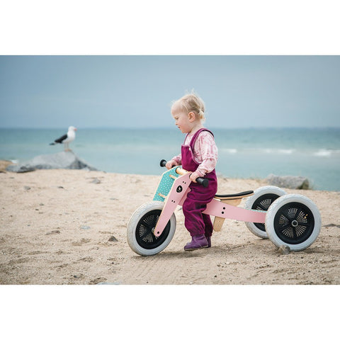 3-in-1 Bike