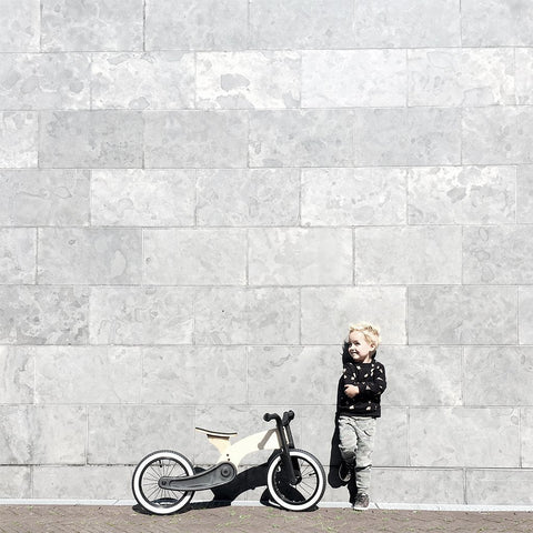 Bike Cruise