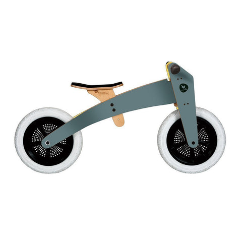 2-in-1 Bike
