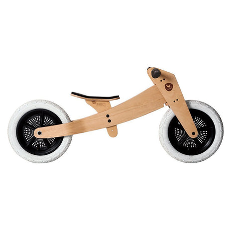 2-in-1 Bike