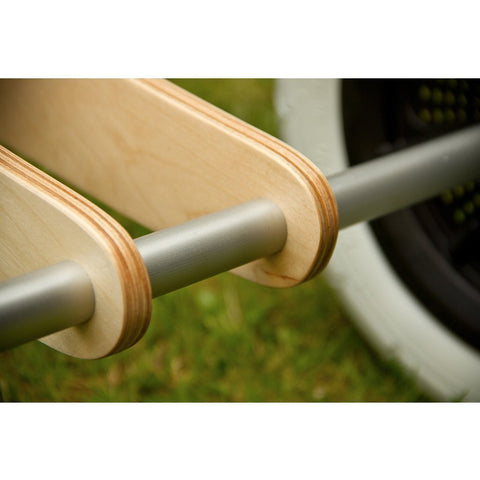 3-in-1 Bike