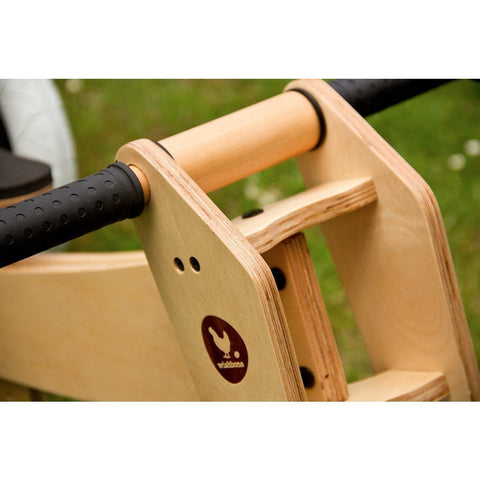3-in-1 Bike