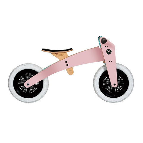 2-in-1 Bike