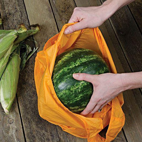 Reusable Bags