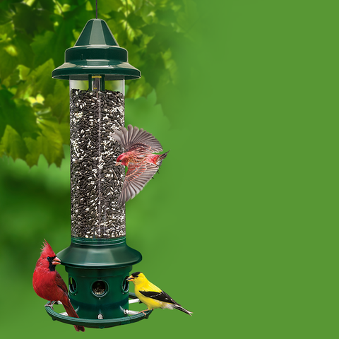 Squirrel Buster Plus High Capacity Birdfeeder