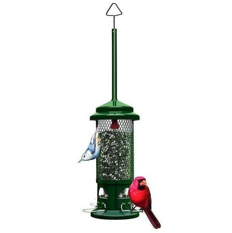 Squirrel Buster Standard Bird Feeder