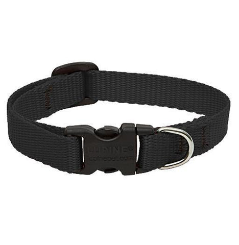 Basics Adjustable Collar, Medium Dog
