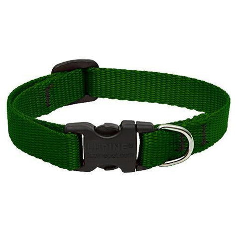 Basics Adjustable Collar, Medium Dog
