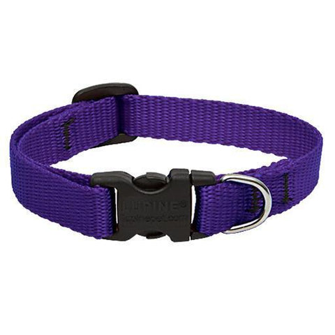 Basics Adjustable Collar, Medium Dog