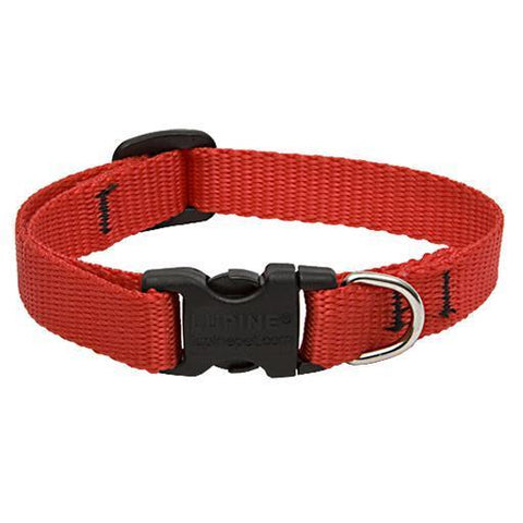 Basics Adjustable Collar, Medium Dog