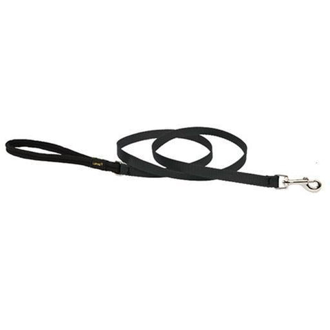 Basics Padded Handle Leash, Cat