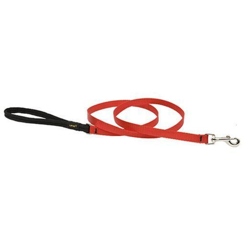 Basics Padded Handle Leash, Medium Dog