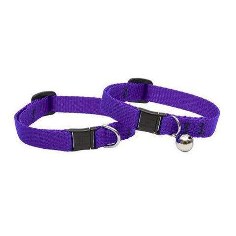Basics Safety Collar, Cat