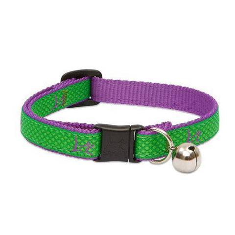Club Safety Collar with Bell, Cat