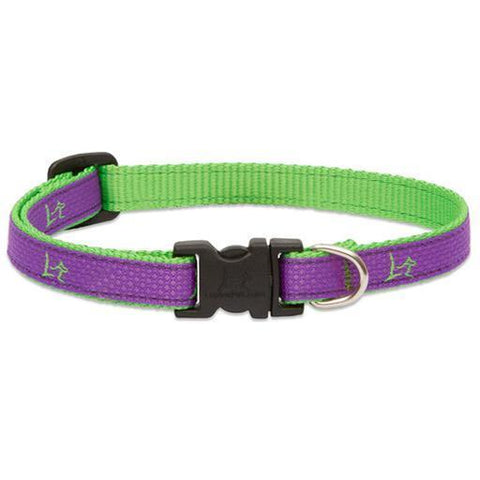 Club Adjustable Collar, Medium Dog