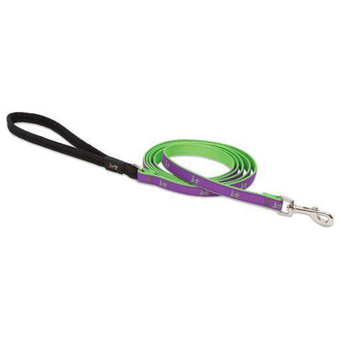 Club Padded Handle Leash, Medium Dog