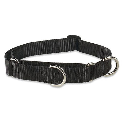 Basics Martingale Collar, Medium Dog