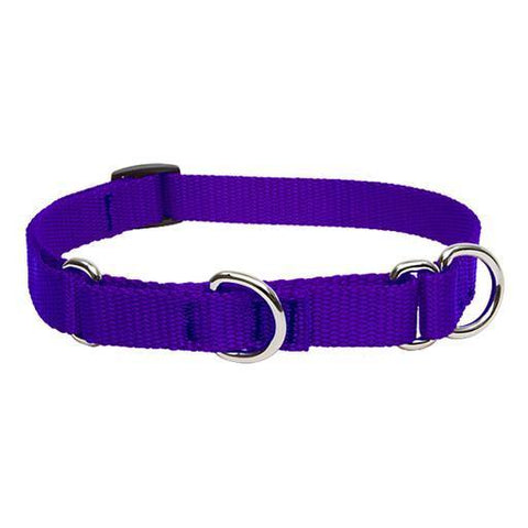 Basics Martingale Collar, Medium Dog