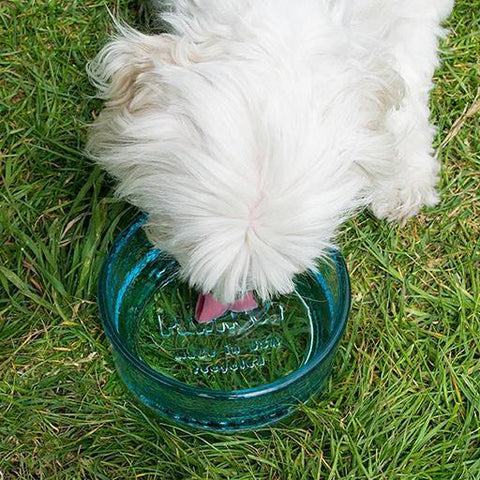 Cubby Mini Bowl, Dog