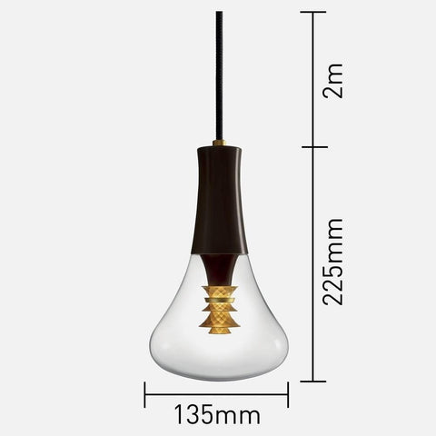 003 LED Light Bulb and Pendant Set