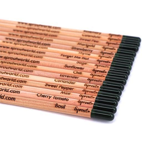 Growing Pencil, Set of 8