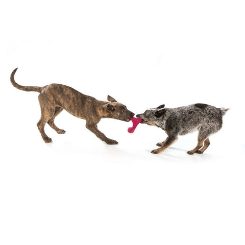 Wox Dog Toy